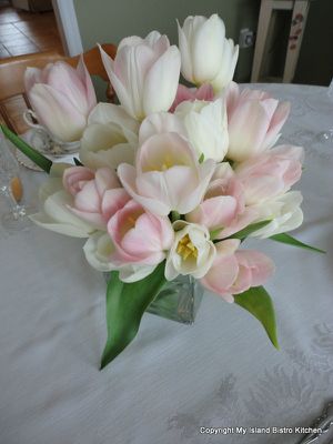 Delicate pastel tulips grown at Vanco Farms in Mt. Albion, PEI, Canada