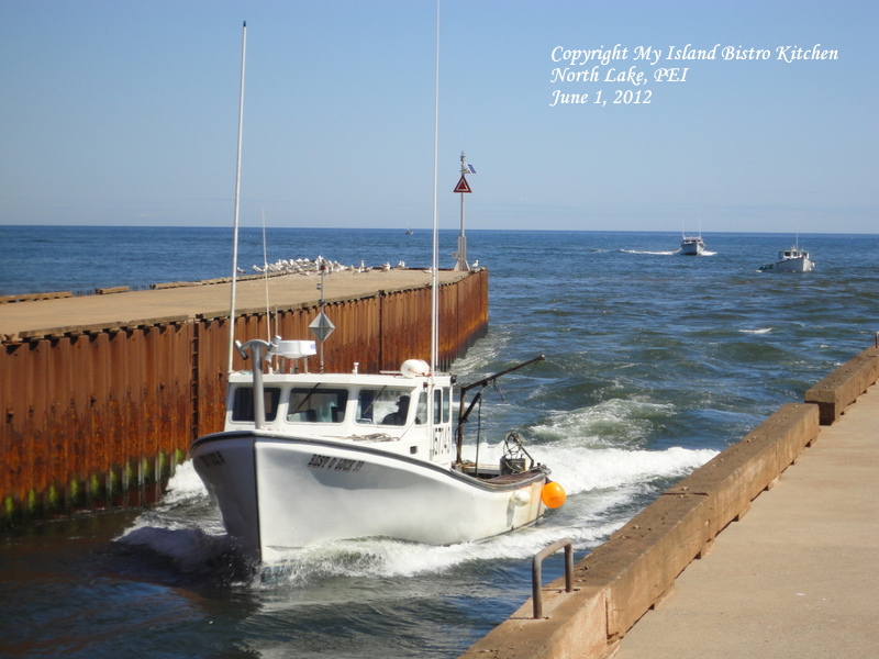 Lobster Fishing Boats Filled With Their Day's Catch Returning to Port at North Lake, PEI [June 1, 2012]