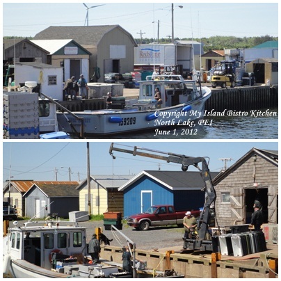 Unloading the Day's Catch at North Lake Harbour [June 1, 2012]