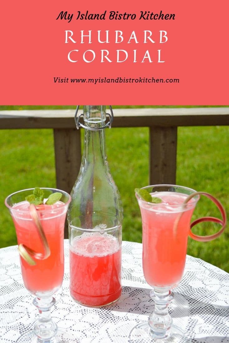 Beautiful pink drink made with rhubarb