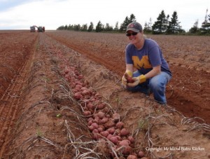 PEI Potato Farmer, Lori Robinson