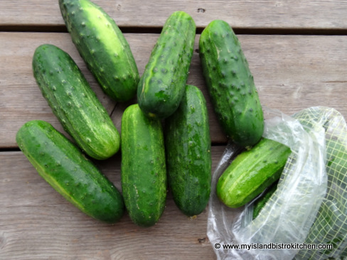Small Pickling Cucumbers