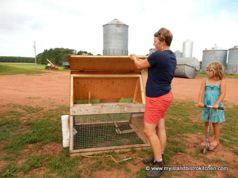 Sally Showing one of the Portable Chicken Coops that are part of her "Rent-A-Chicken" Package