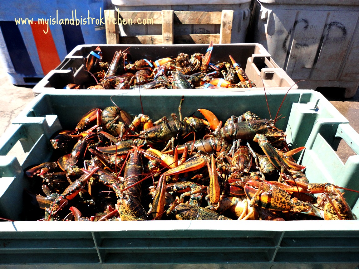 PEI Lobsters