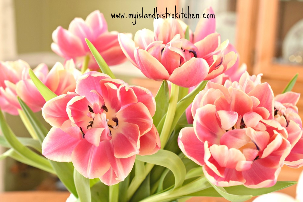 Double Flowered Tulips