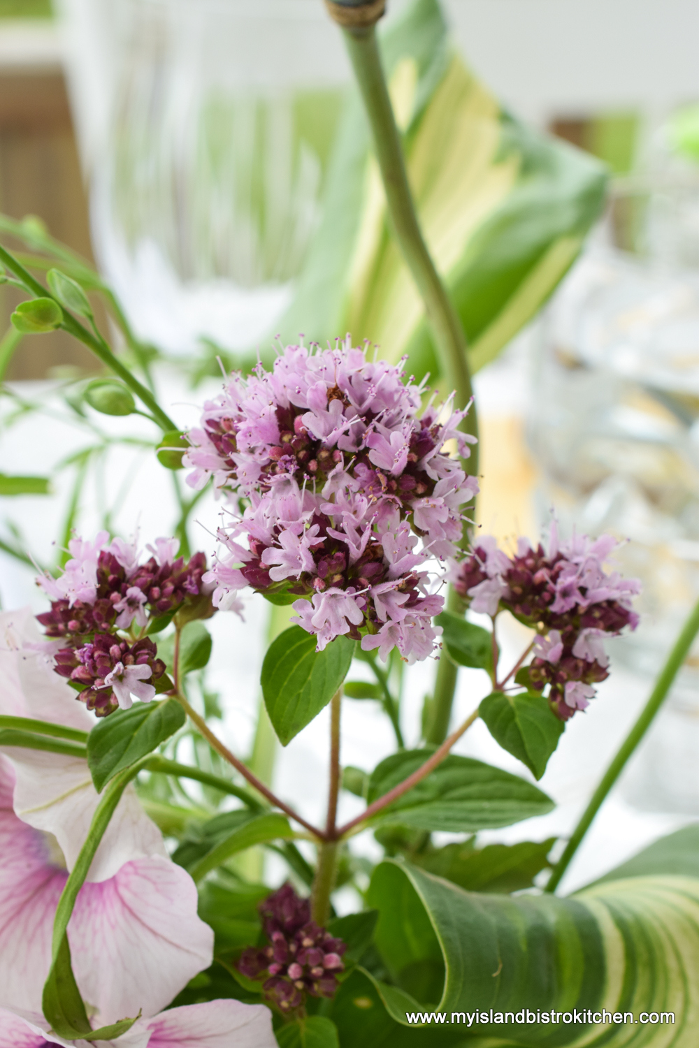 Fresh herbs, such as oregano, are great in casual floral arrangements
