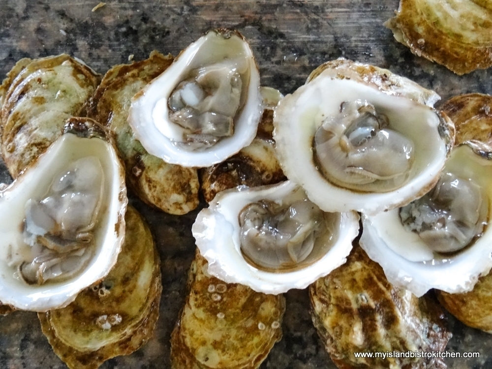 Plump PEI Oysters