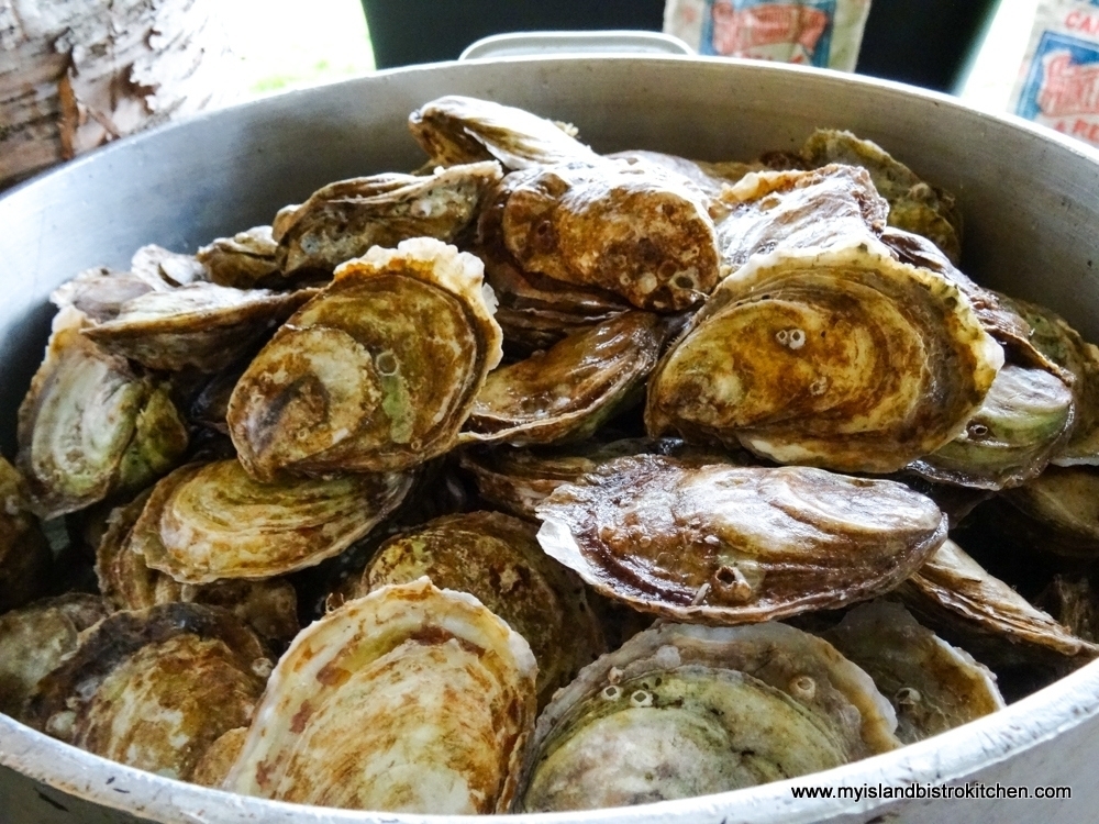Colors and Textures of PEI Oysters