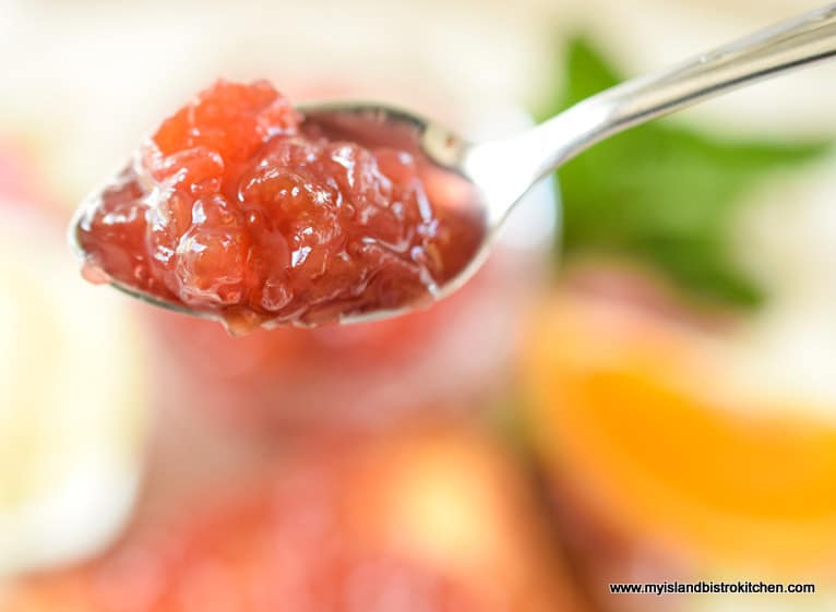 Spoonful of rhubarb marmalade