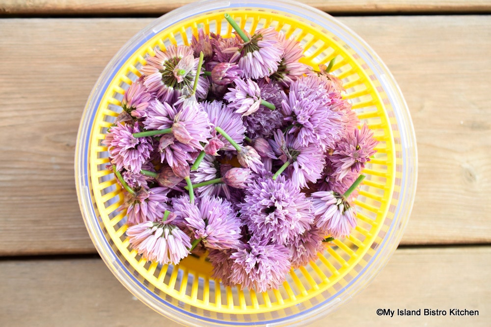 Chive Blossoms in Salad Spinner