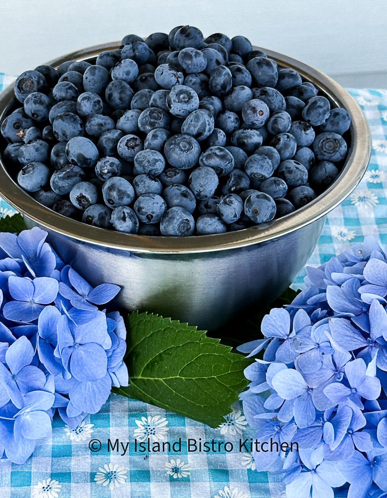 Blueberries in steel bowl surrounded by blue hydrangea on a blue checkered tablecloth