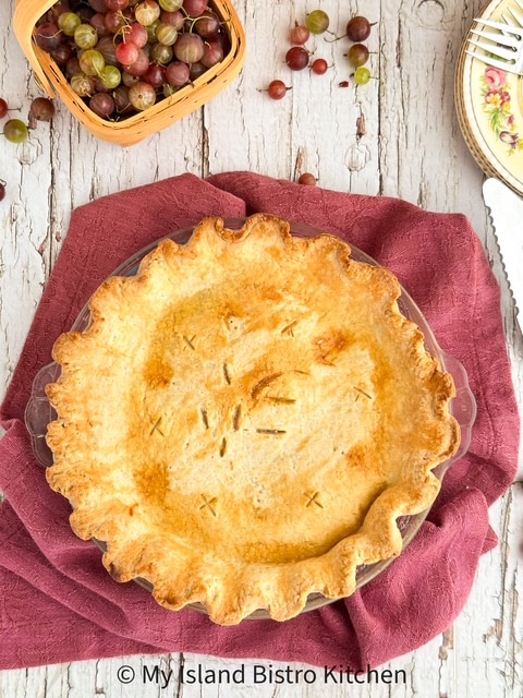Gooseberry Pie in pie plate surrounded by fresh gooseberries