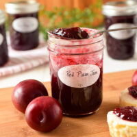 Spoonful of plum jam sits atop an open jar of the jam. Vampire Red Plums and biscuits topped with the jam are in the foreground while jars of the jam form the backdrop